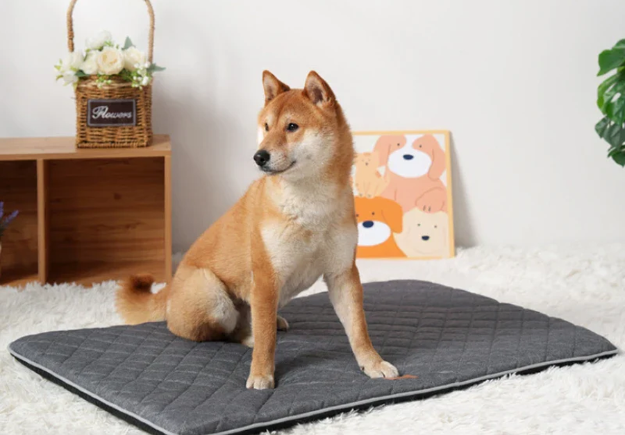 Natural Creations For Happy Kids