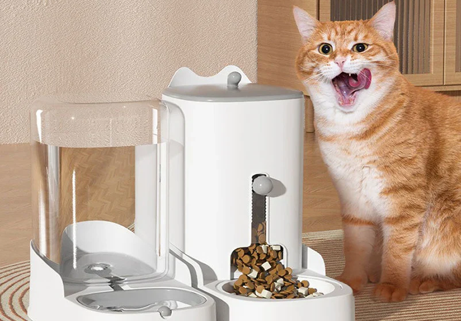 Imagination Comfort And Endless Fun