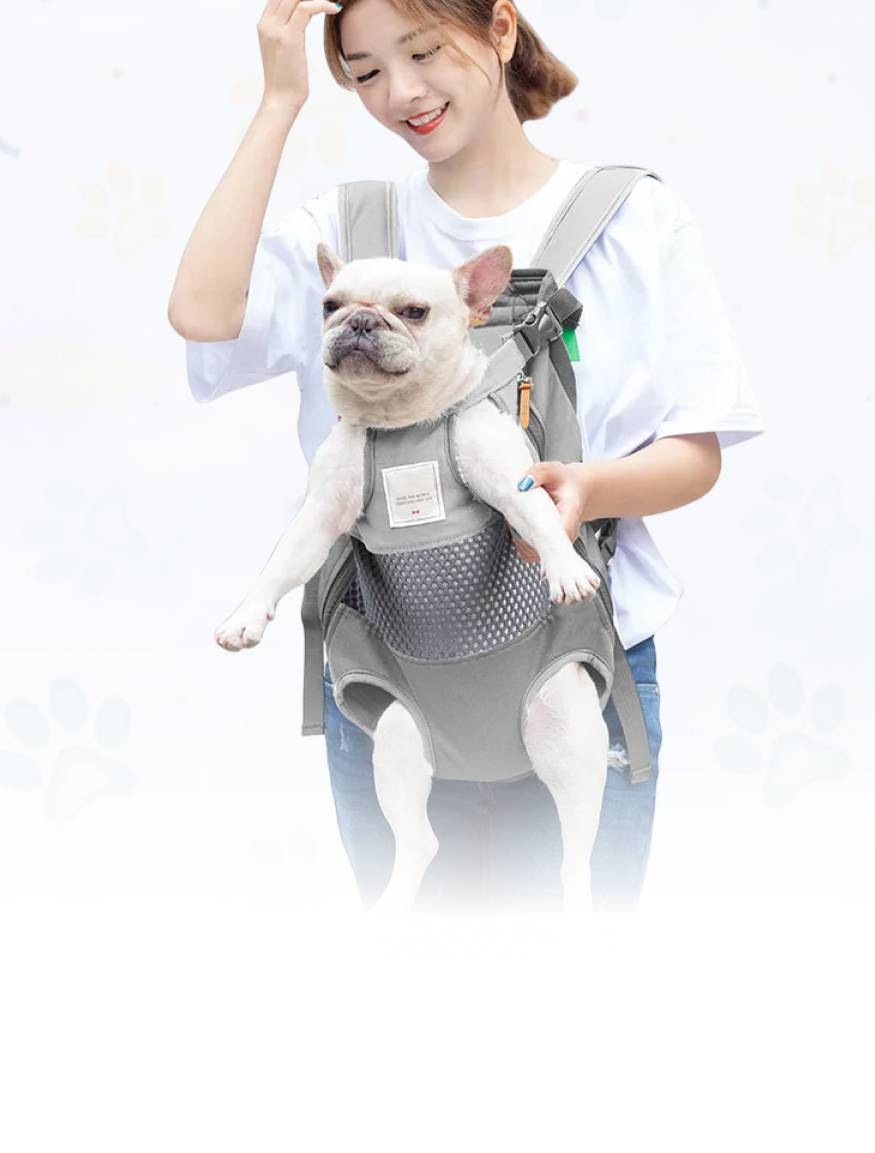 Pet That Spark Joyful Imagination