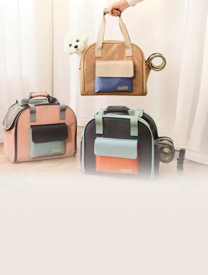 Pet That Spark Joyful Imagination